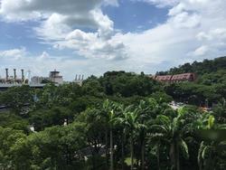 Blk 102 Bukit Purmei Road (Bukit Merah), HDB 3 Rooms #108250652